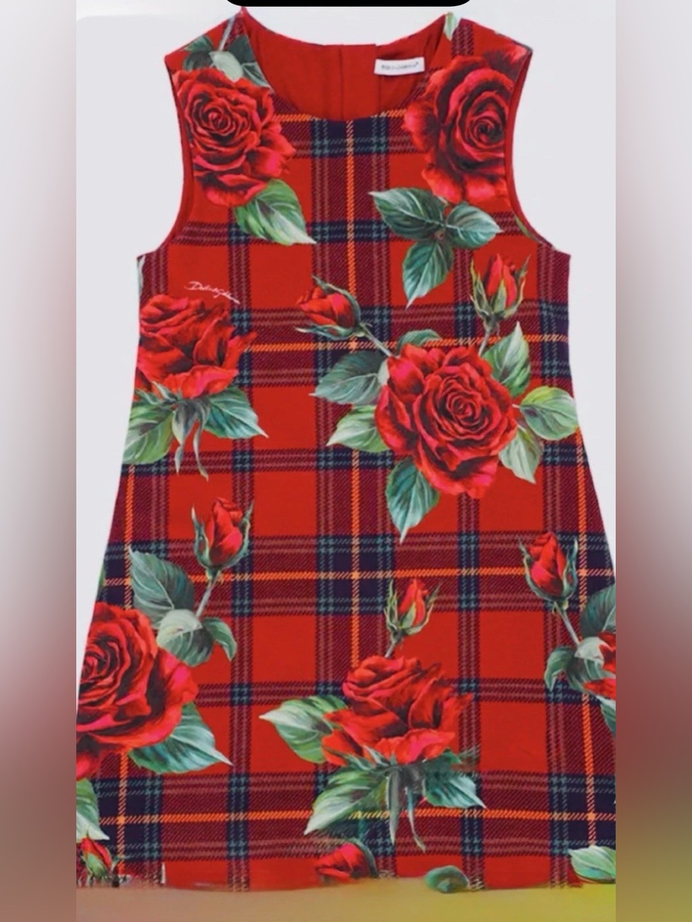 Dolce & Gabbana Red Plaid Dress with Rose Print